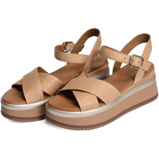 A98008 Camel