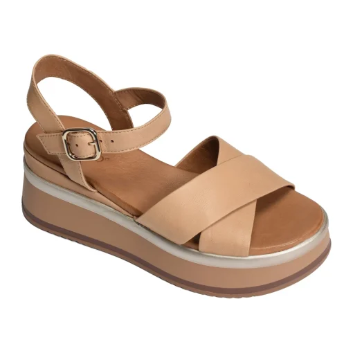 A98008 Camel