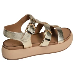A96046 Gold