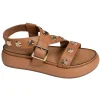 A96041 Marron