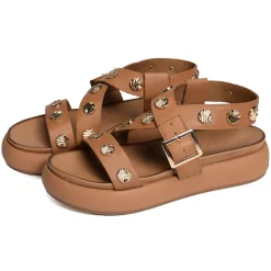 A96041 Marron