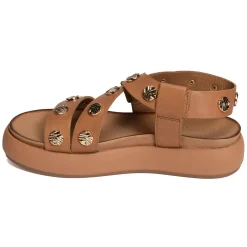 A96041 Marron