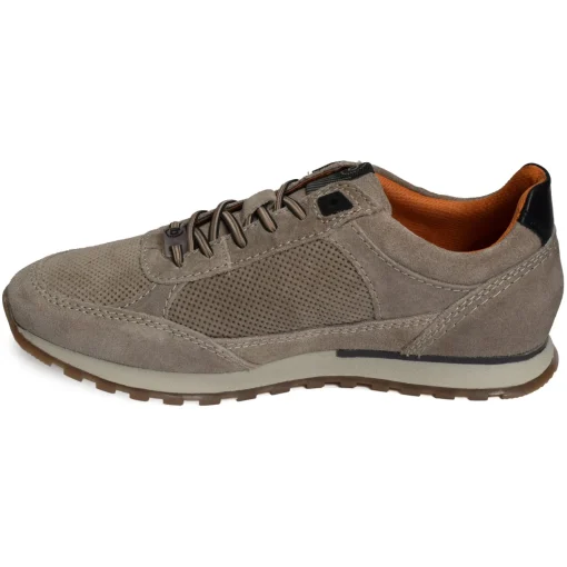 ARX03 Beige