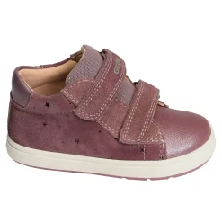 B BIGLIA GC Rose