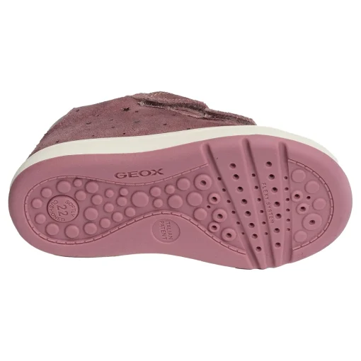B BIGLIA GC Rose