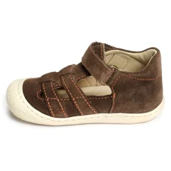 BEDE BOY VELOURS Marron