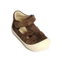 BEDE BOY VELOURS Marron