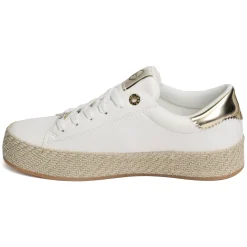 23713 Blanc Or