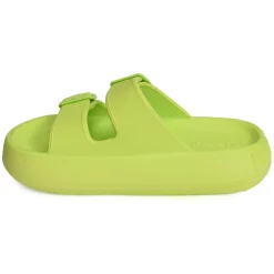 BLOOMER BIO Vert Anis