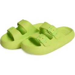 BLOOMER BIO Vert Anis