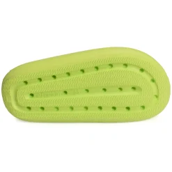 BLOOMER BIO Vert Anis