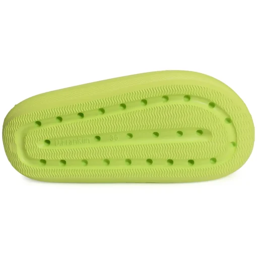 BLOOMER BIO Vert Anis