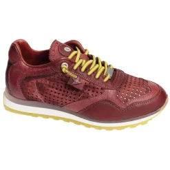 C848 Bordeaux