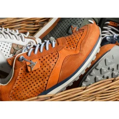 C848 Orange