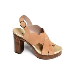 6579 Camel