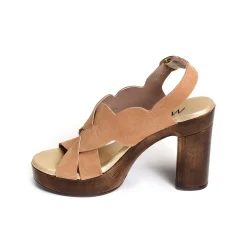 6579 Camel