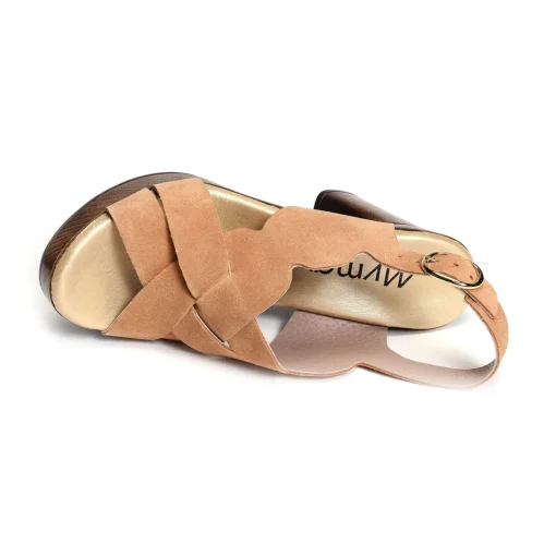 6579 Camel