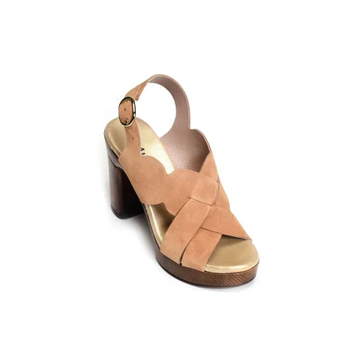 6579 Camel