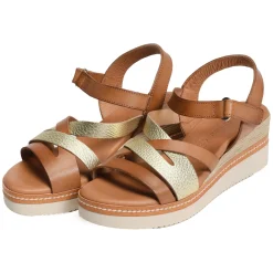548 Camel Or