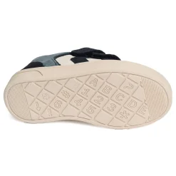 CIRANO Marine Multicolore