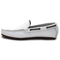 DINGO 6806 Blanc