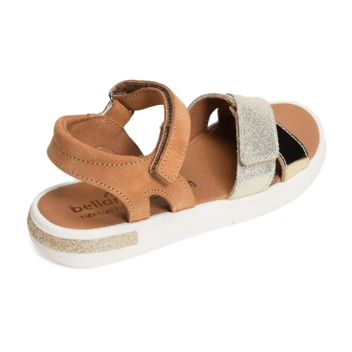 EVI Camel Or