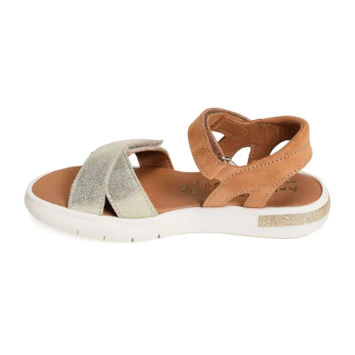 EVI Camel Or