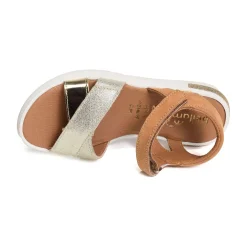 EVI Camel Or