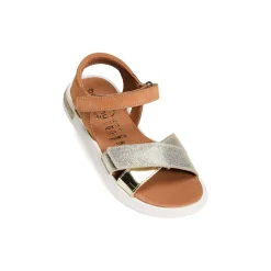 EVI Camel Or