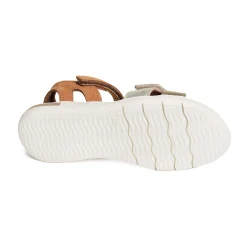 EVI Camel Or