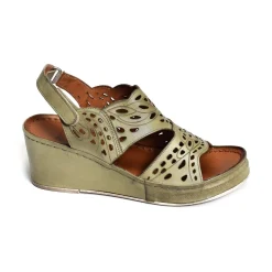 FANAL Kaki