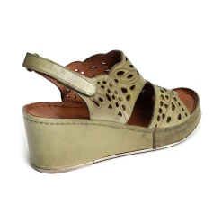 FANAL Kaki