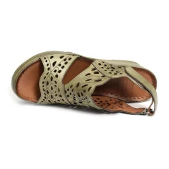 FANAL Kaki