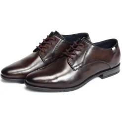 GAPO AFY05 Marron