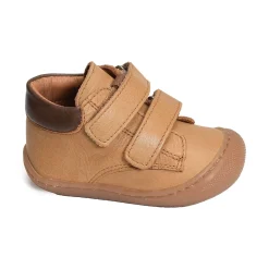 ILAN Camel