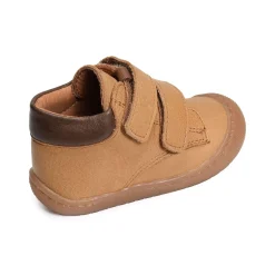 ILAN Camel