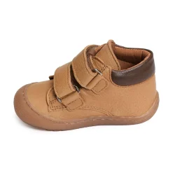 ILAN Camel