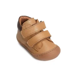 ILAN Camel