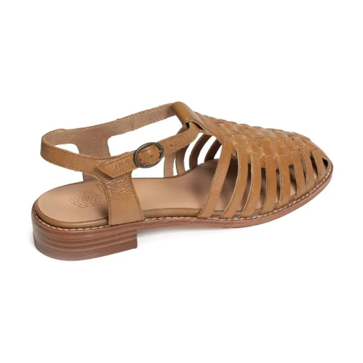 JIPAS Camel