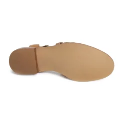 JIPAS Camel