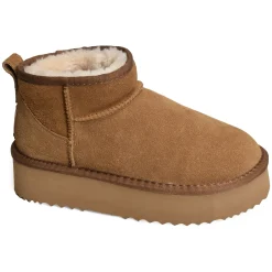 K41209 Camel