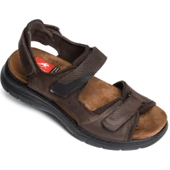 KAIRO F1773 Marron