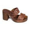 495 Marron