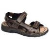 26061 Marron
