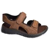 26761 Marron