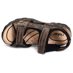 26061 Marron
