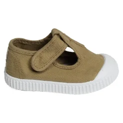 136625 Olive