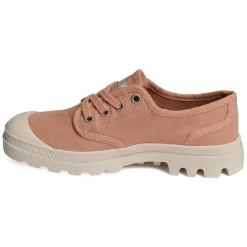 PAMPA OXFORD Rose