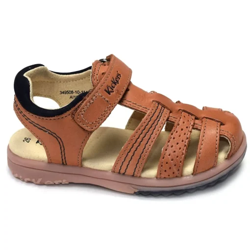 PLATINIUM Camel
