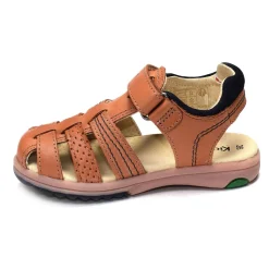 PLATINIUM Camel
